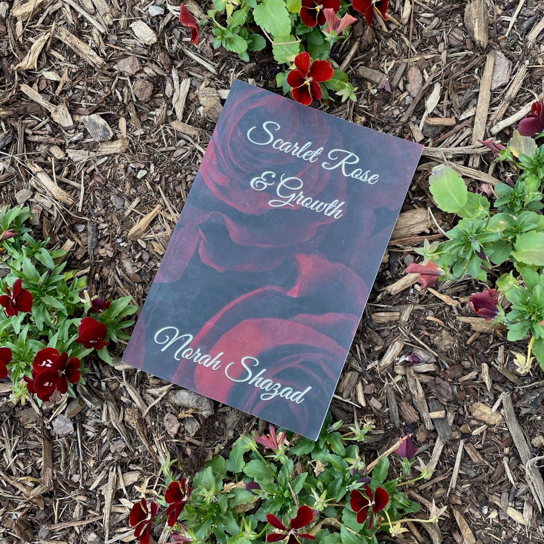 Poetry - Scarlet Rose & Growth